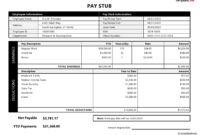 Blank Pay Stub Template For Professional Use