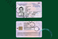 Georgia State Identification Card Template