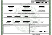 USCIS Birth Certificate Translation Template: A Comprehensive Guide